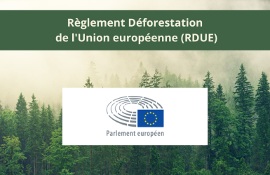 Le Parlement européen adopte la législation pour lutter contre la déforestation (RDUE)