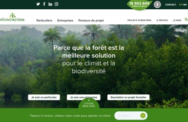 Webinaire Citoyen Reforest’Action : agir pour limiter la déforestation