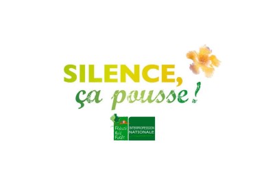 Découvrez l’émission « Silence ça pousse » autour de la forêt et du bois