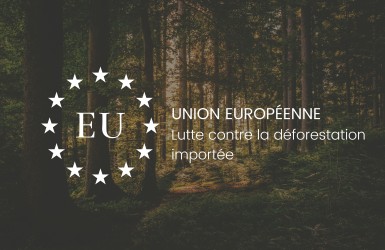 Projet de règlementation de l’UE zéro déforestation : vers un élargissement de son champ d’application ?