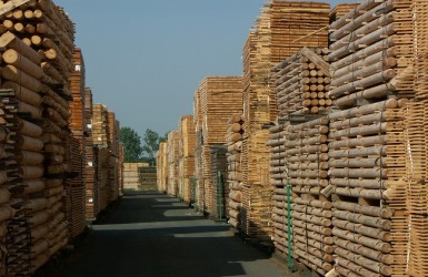 Un marché du bois en pleine ébullition … sauf en Afrique