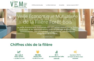 Veille Economique Mutualisée : La filière forêt bois publie la Synthèse des données 2020