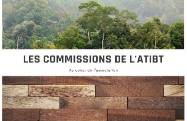 La Commission Certification de l’ATIBT s’est tenue le 21 décembre
