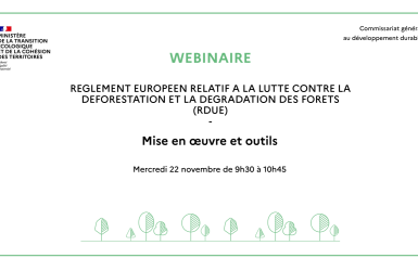 Webinaire sur la mise en œuvre du RDUE organisé par le Commissariat général au développement durable