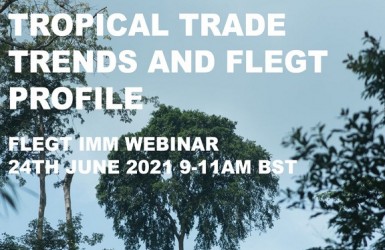Webinaire 24/06 : les évolutions du marché des bois tropicaux et la réglementation FLEGT
