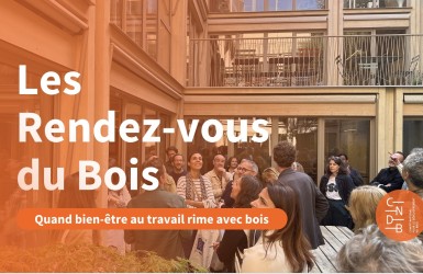 INEDIT : Le CNDB présente une série de vidéos "Les rendez-vous du bois"