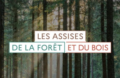 Clôture des Assises de la Forêt et du Bois