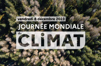 Webinaire « La forêt française peut-elle continuer à jouer son rôle de puits de carbone ? »​ - Organisé par l'ONF le vendredi 8 décembre à 14h