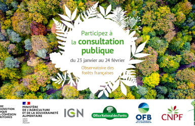 Consultation publique : observatoire des forêts françaises