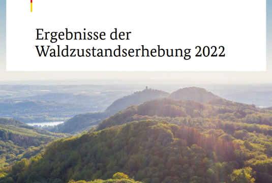 Les forêts allemandes en souffrance, leur conversion est urgente