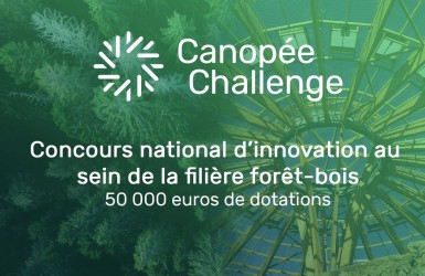 2e édition du Canopée Challenge : appel à candidatures jusqu’au 12 décembre 