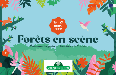 Journée internationale des forêts : du 19 au 27 mars, un programme nature dans toute la France !