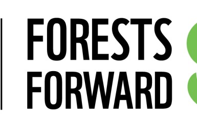 WWF présente son nouvel outil pour évaluer le risque sur le bois dans le cadre de son projet « Forests Forward »