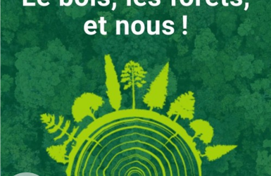 Écoutez les chroniques radio "Le bois, les forêts, et nous !"