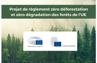 Le Conseil de l'UE et le Parlement européen sont parvenus à un accord provisoire sur la proposition de règlement zéro déforestation (RDUE) 