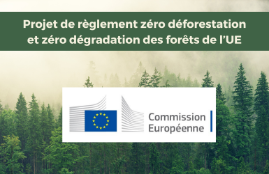 Le projet de règlement zéro déforestation et zéro dégradation de l’UE en quelques questions/réponses
