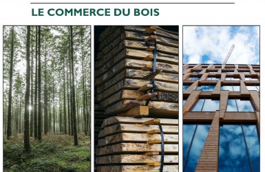 RBUE : LCB renforce son Système de Diligence Raisonnée et intensifie sa lutte contre la déforestation importée