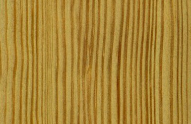 PIN SYLVESTRE