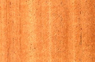 ACAJOU D'AFRIQUE